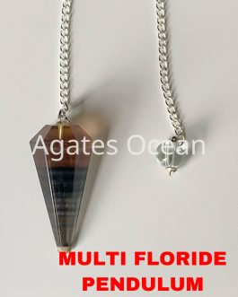 Multi Floride Pendulum