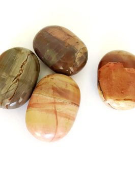 Fancy Jasper Palm Stone