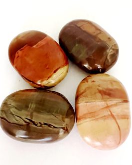 Fancy Jasper Palm Stone