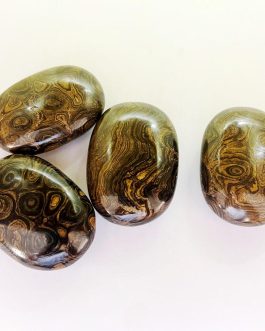 Stromatolite Palm Stone