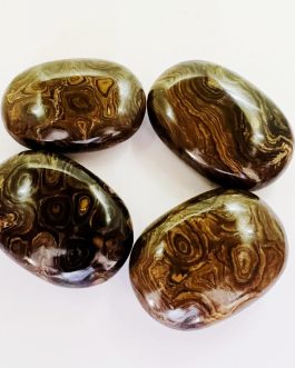 Stromatolite Palm Stone