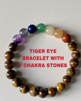 Tiger Eye  Bracelet With 7 Chakra Stones